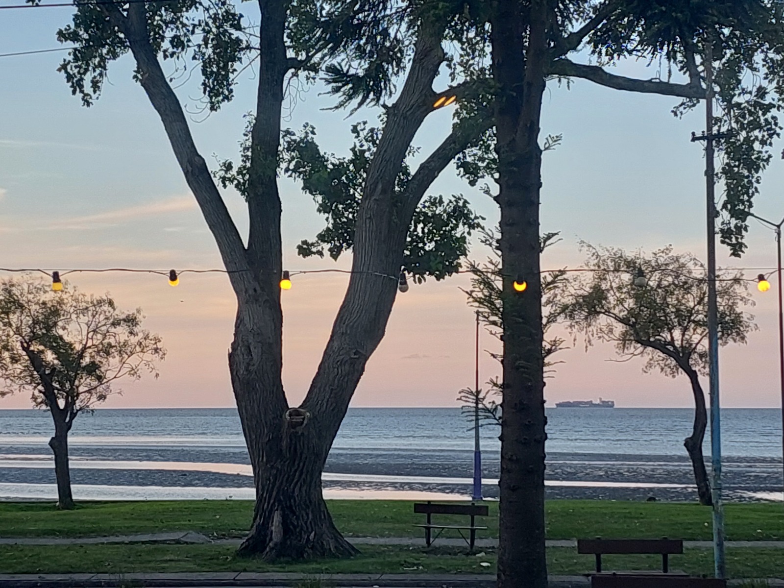 Vista de la Ribera de Quilmes sobre el Río de la Plata, cerca de la Galería Mente Abierta